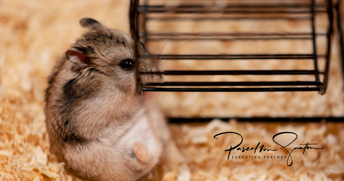 Hamsterrad verlassen - 10 Ansatzpunkte